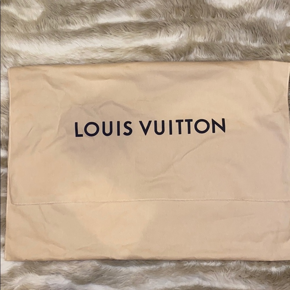Louis Vuitton large size dust bag